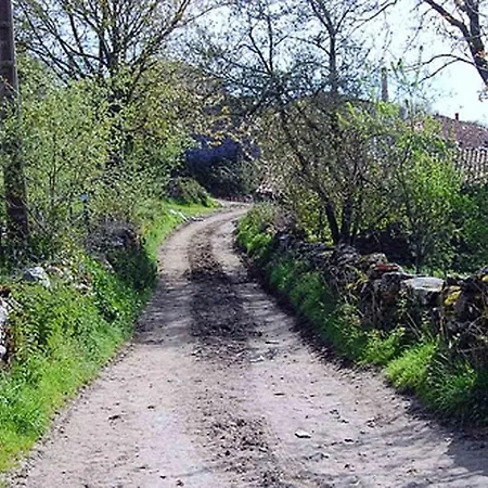 Stone La Compostelana Curtis