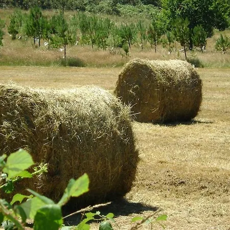 Holiday home Stone La Compostelana Curtis