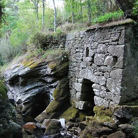 Stone La Compostelana * Curtis