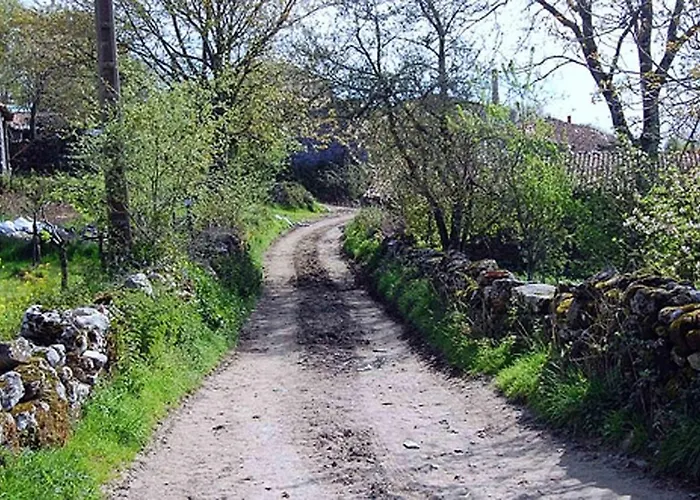 Stone La Compostelana Curtis