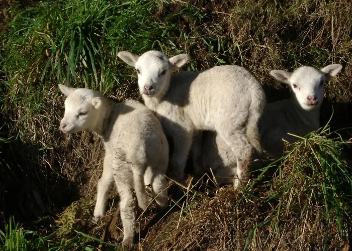 Tatil Evi Stone La Compostelana