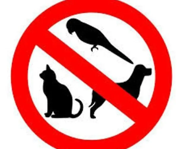 Tatil Evi Stone La Compostelana Curtis